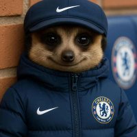 mcmillian (@rabbamahn87) 's Twitter Profile