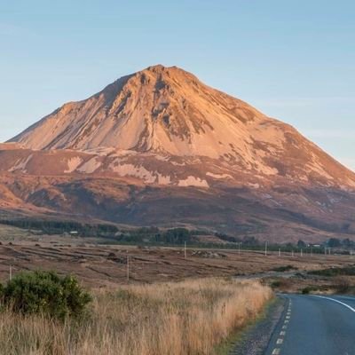 MichaelMadden16's profile picture. 