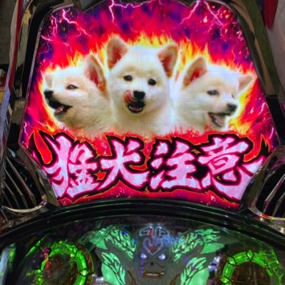 しゃかりきページ しゃかりき (@jagurabba) / Posts / X