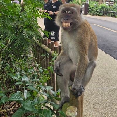 小さな目標をコツコツ達成していこうと思います。
ゴルフ(コンペ、打ちっぱなし)、スノーボード(冬季限定オフトレなし)、バスケットボール、ゲーム(ボードゲーム、Switch、ps5、ウォーハンマー)、車関連(サーキット、カスタム情報)、子育て、仕事。沢山ある出来事をメモリーしていきます。
どうぞよろしくお願い致します🫡