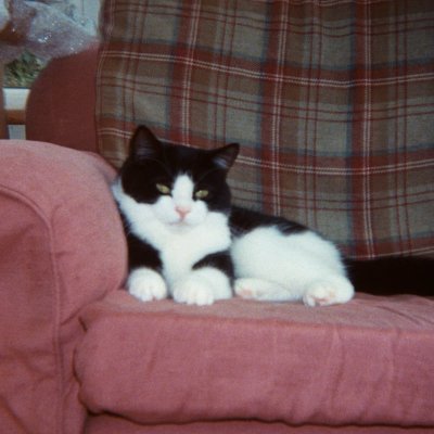 katie_bradburn's profile picture. 