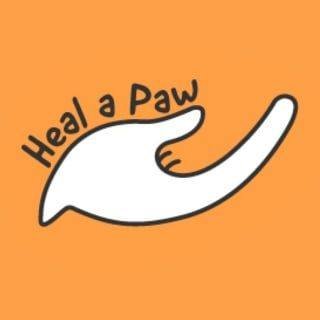 healapaw's profile picture. Mainstreaming animal health one free veterinary service at a time 🐾