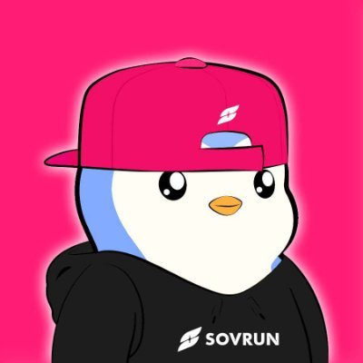 Sovrunさんのプロフィール画像