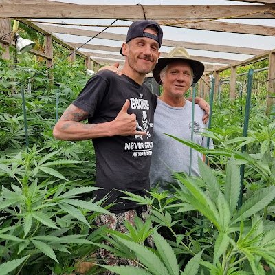 licensed grower and supplier of top quality flavors for patients and smokers going for lower prices check website for our massive giveaways