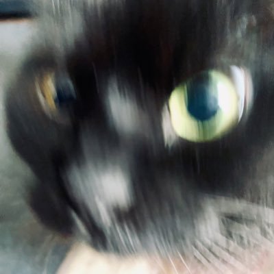 ぶっちょ、FANBOX始めたぞさんのプロフィール画像