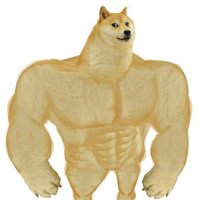 Swole Doge (@swogeonbonk_) 's Twitter Profile