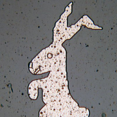 asurahxwa's profile picture. AI