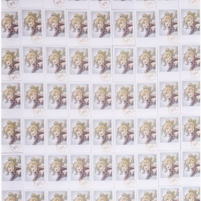 ももあ。固定枠募集中さんのプロフィール画像