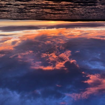 GimaGima00's profile picture. Here for the crypto talk🎸 🐶 🌳 ♠️