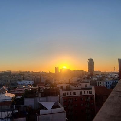 Trying to enjoy the little moments in between the chaos
