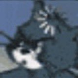 Jandy_grass's profile picture. We studied the sequence in the future.