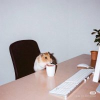 Brant (@brantphilip_) 's Twitter Profile Photo