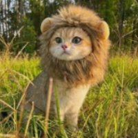 رونق البصري (@albsryrwnq56927) 's Twitter Profile