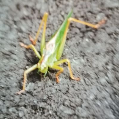 mousoujukujyo's profile picture. すんだひとみが好き
誰でもが輝いたひとみでいられる社会になりますように！