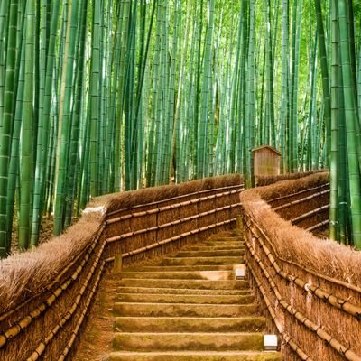 DamienF06's profile picture. 