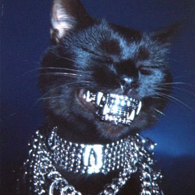 Catbrah ⛩️さんのプロフィール画像
