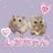 shiopi_fz
