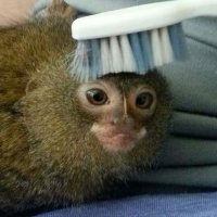 cinna (@cinna____) 's Twitter Profile