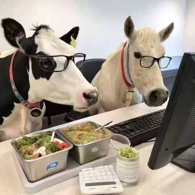 zhuhahahahahaha's profile picture. 随便玩玩