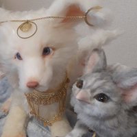 きなころ (@kina_koro_koro) 's Twitter Profile Photo きなころ (@kina_koro_koro) 's Twitter Profile Photo