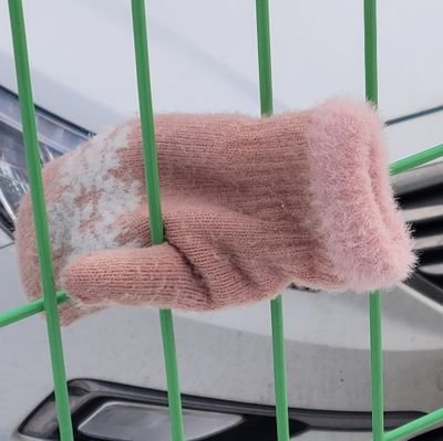 KW4NG____'s profile picture. 