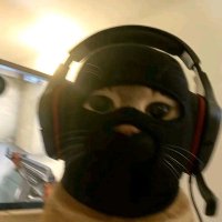 ChartScopes (@chartscopes) 's Twitter Profile