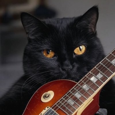 友達少ない高校生です。ギター初めて約6ヶ月になりました🎸Queenに影響を受けギター始めるも同じ色のレスポールを持っていたため、けいおん!にも影響を受けました。洋楽がとっても大好きです!ブライアン・メイが憧れです。 #高校生 #音楽 #ギター #レスポール #ギター初心者 #ベース #ベース初心者