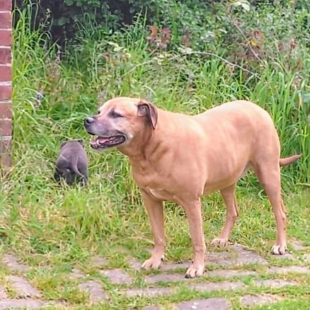 lee_wolfe92139's profile picture. 