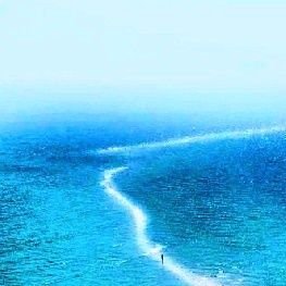 Verbena_Azul's profile picture. 🐦 Ver,  Andar, Volar 🐦