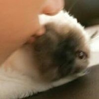 พี่ชิต. (@1001tlee) 's Twitter Profile Photo พี่ชิต. (@1001tlee) 's Twitter Profile Photo