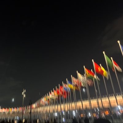 7517Yi's profile picture. 