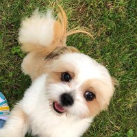 *ੈadi 🌱 cr: qjj vol 3 (@rougeyoon) 's Twitter Profile Photo