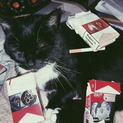 MTさんのプロフィール画像