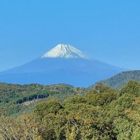 Dlog (@withnoveld64815) 's Twitter Profile Photo