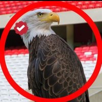 𝐀́𝐠𝐮𝐢𝐚 𝐝𝐨𝐬 𝐅𝐚𝐜𝐭𝐨𝐬 (@aguiadosfactos) 's Twitter Profile