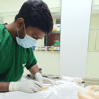 Seeking opportunities to utilize my skills in zoonotic diseases, epidemiology, antimicrobial photodynamic therapy (aPDT), and antimicrobial resistance.