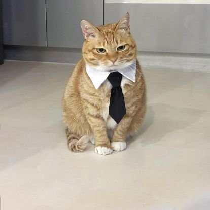 ifaiz2's profile picture. Sigma 🗿 | Rant | Exploring Backend Development | @nodejs @angular @next