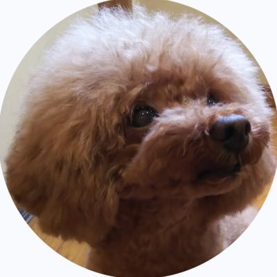 gICdaVPSWO23362's profile picture. 
