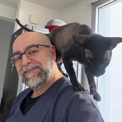 Médico. Pediatra. Paliativista