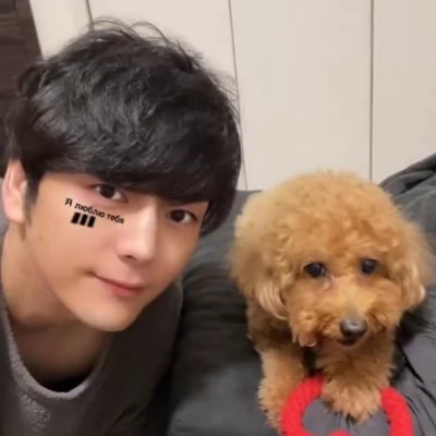 ブチギレといぷーどるの主さんのプロフィール画像