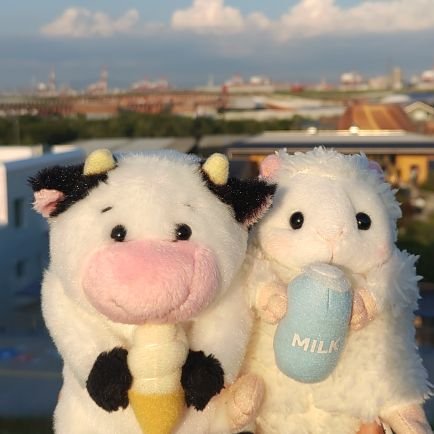 saaのおうちで暮らすいろんなぬい達との日常を綴る垢🏡
無断転載NG❌無断使用NG❌
初期ピカやfitなどのポケぬいは本垢@pokepika_saaへ