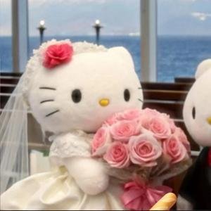 TTaotaoCat's profile picture. My babies! I am so lucky to be noticed by you~ Just like a kitten has found its favorite blanket, I have found you who are so warm.
Thank you to every one of yo