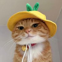 ceinvaa (@skyoceanxv) 's Twitter Profile