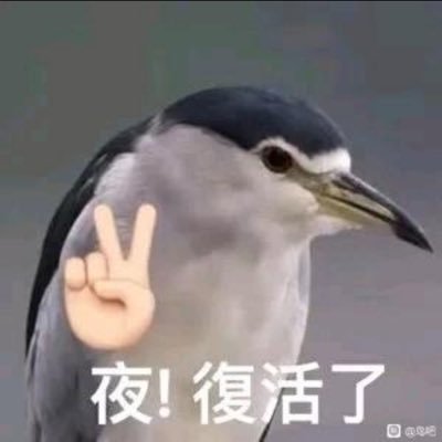 葭岸栖栖，夜鹭其羽。暮色苍苍，守水不语。