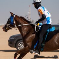 محمد فالح العبيّد (@malobayed) 's Twitter Profile Photo محمد فالح العبيّد (@malobayed) 's Twitter Profile Photo