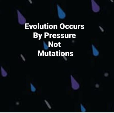 randal781811's profile picture. My book: it is the story of how all life has evolved on Earth by means of Intellegent Design. Also, expresses how life evolves throughout the universe.
