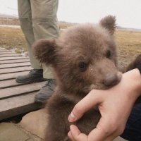 ixajqw (@ixajqw) 's Twitter Profile