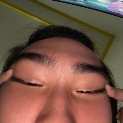 MollyPercsXans's profile picture. 