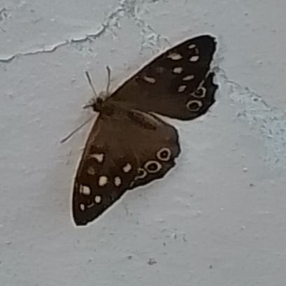 KN_MBlaszczak's profile picture. _v_v_