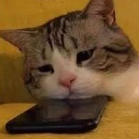 karmançormanım (@carmancorm) Twitter profile photo